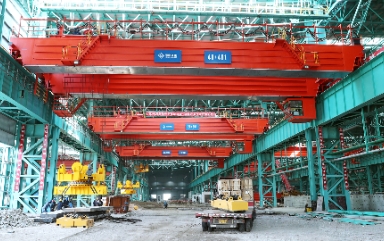 Special Purpose Overhead Crane